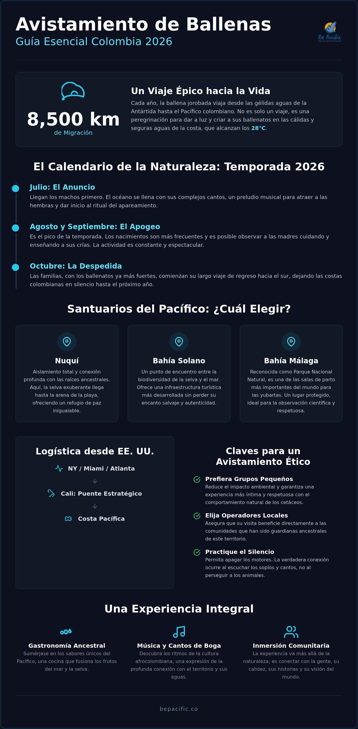 Avistamiento de ballenas en Colombia desde New York: Guía completa 2026