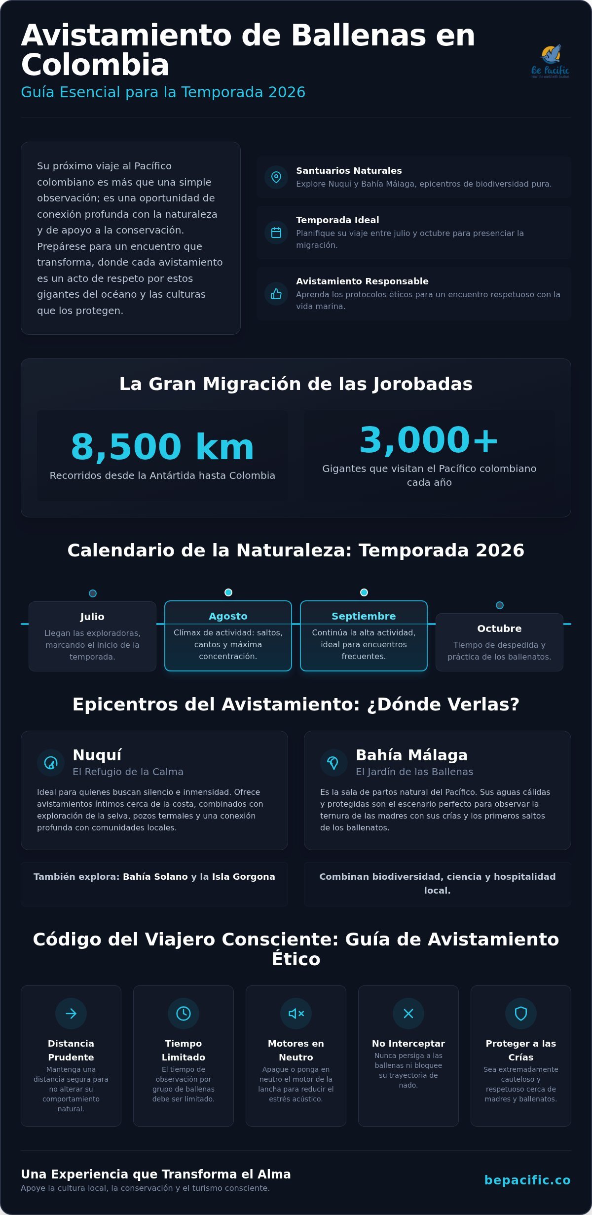 Dónde ver ballenas en Colombia: Guía para un encuentro consciente en 2026