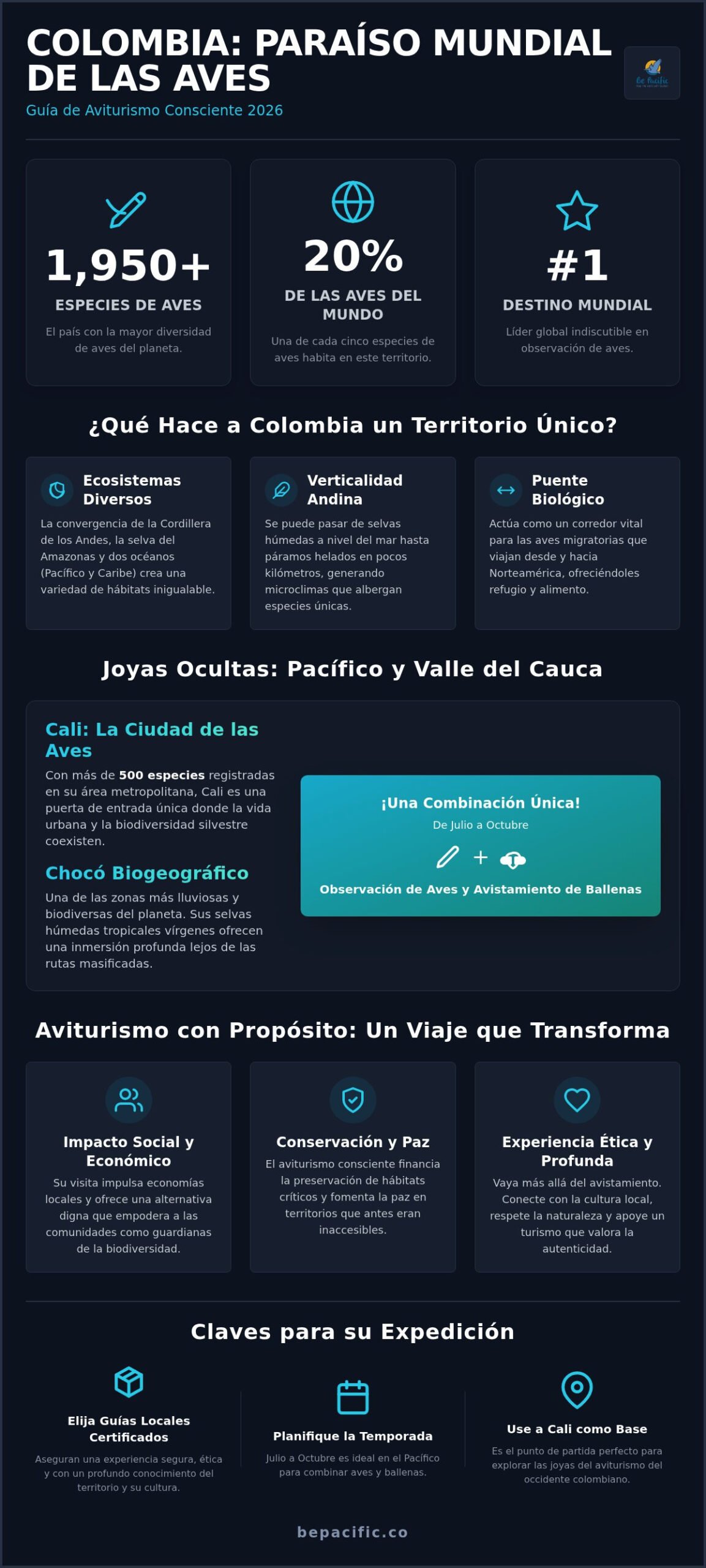 Observación de aves en Colombia: Guía completa para el viajero consciente en 2026