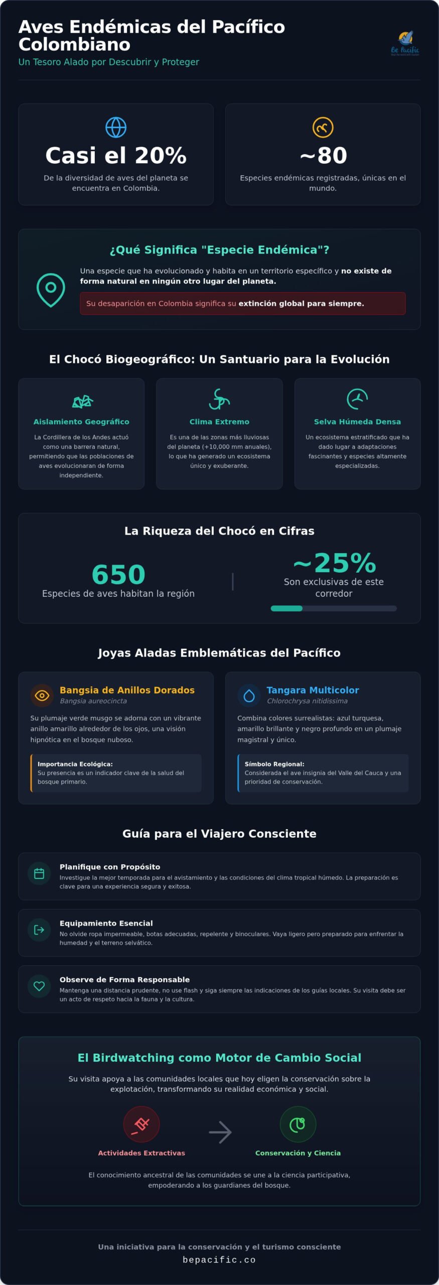 Aves endémicas del Pacífico colombiano: Guía de especies y observación consciente 2026