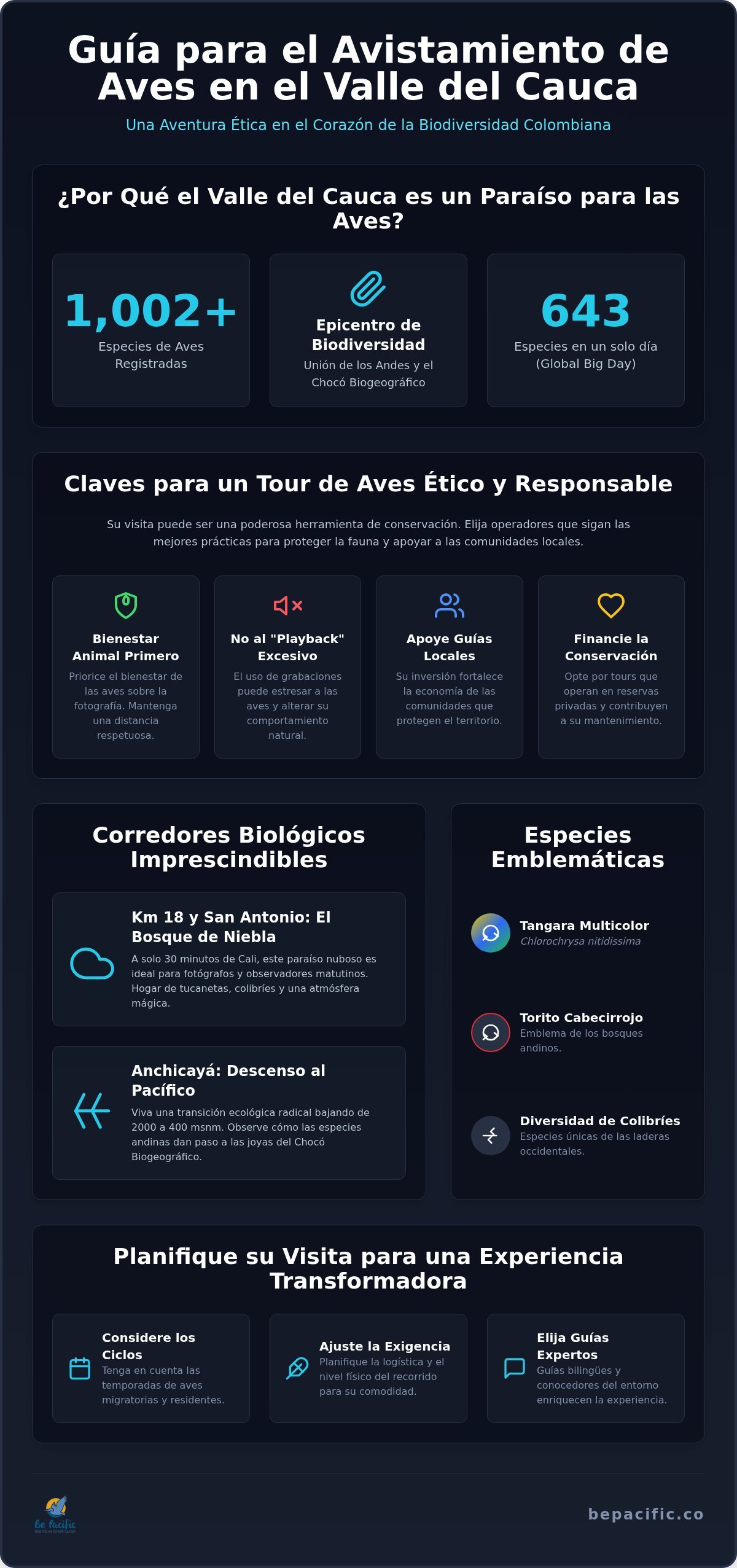 Tour de aves Valle del Cauca: Guía de compra para el observador consciente en 2026