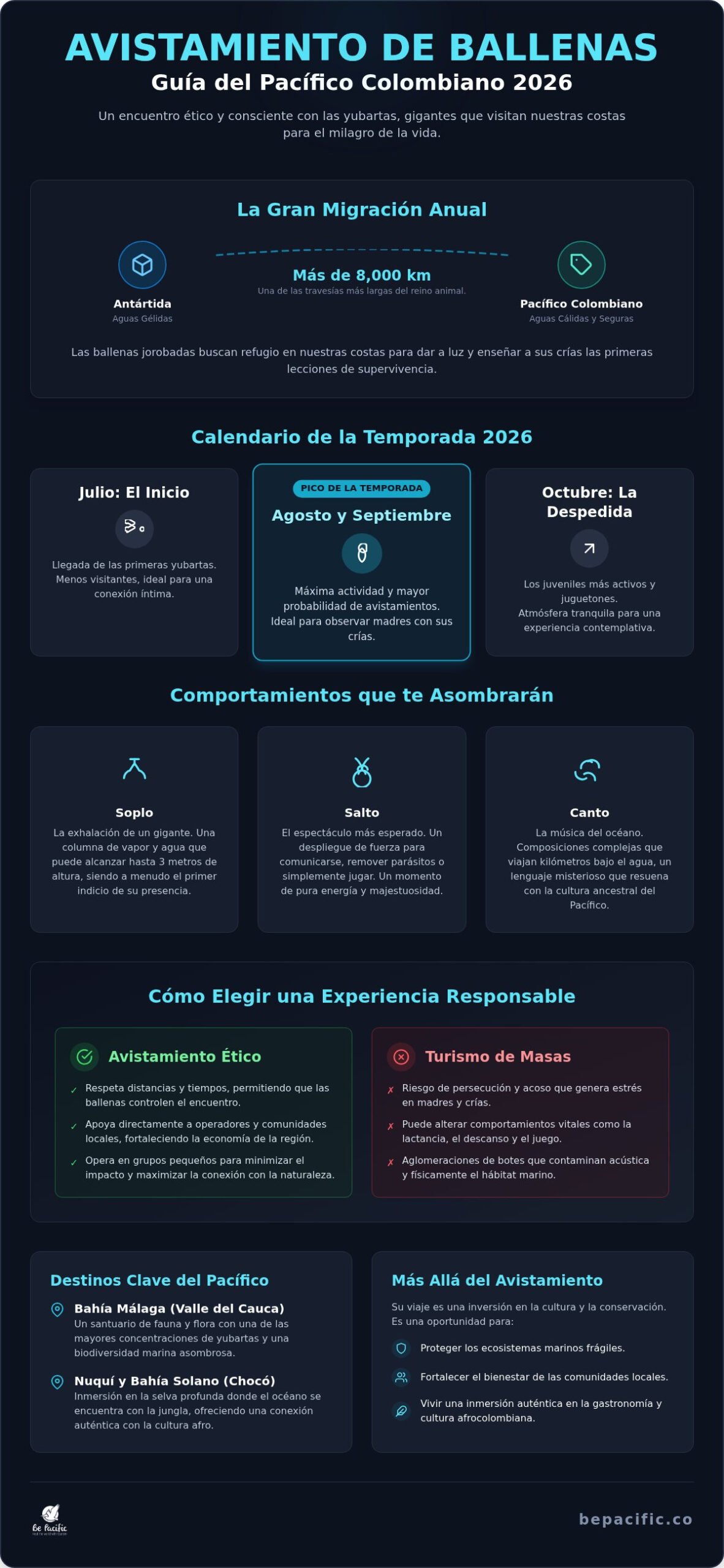 Avistamiento de ballenas Pacífico colombiano: Guía para un encuentro consciente 2026
