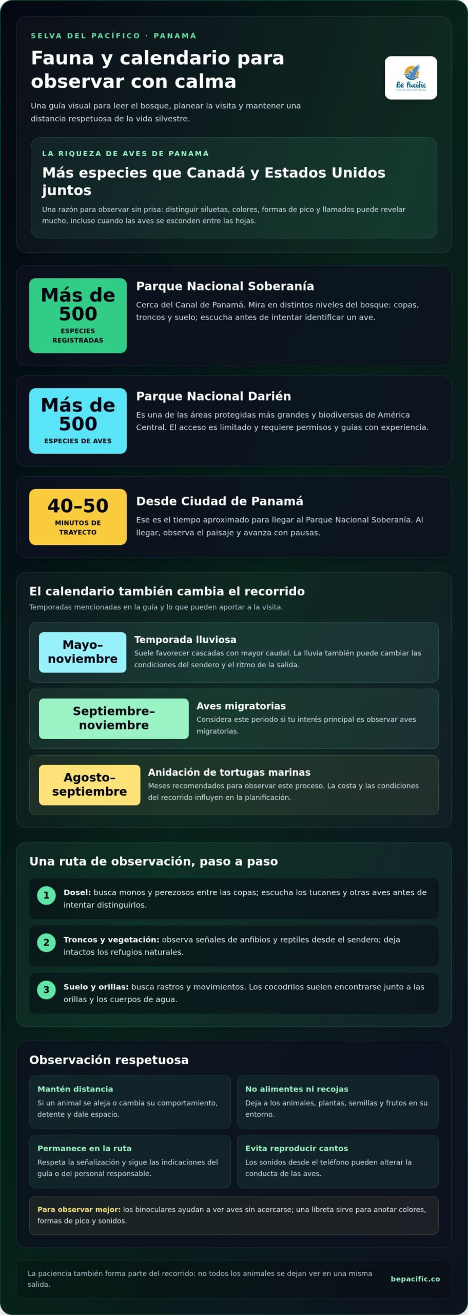 Tour de flora y fauna en la selva del Pacífico: qué ver