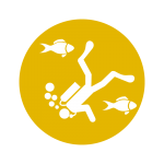 Eco Sports · Turismo · Pacífico Colombiano · Ecoturismo · BePacific Eco Sports · Turismo · Pacífico Colombiano · Ecoturismo · BePacific